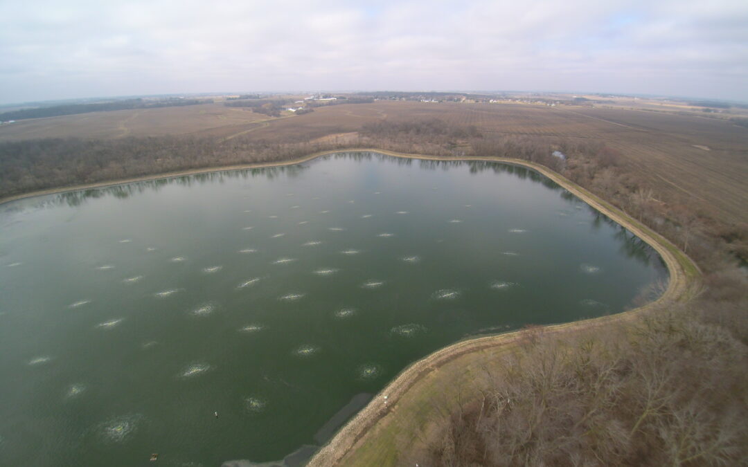 Biotifx® in Action: Lagoons and Ponds
