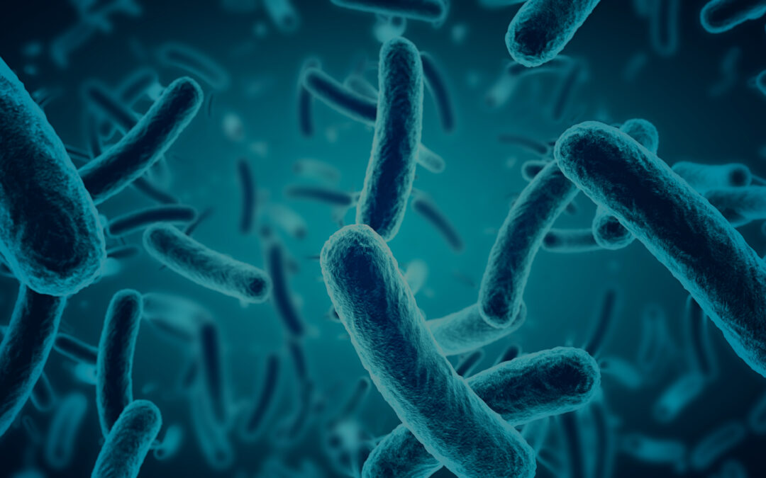 Bacillus, Distinguishing Species and Strains Part II