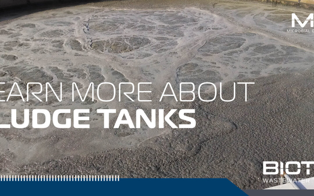 Sludge Tanks 101: Treating the Waste