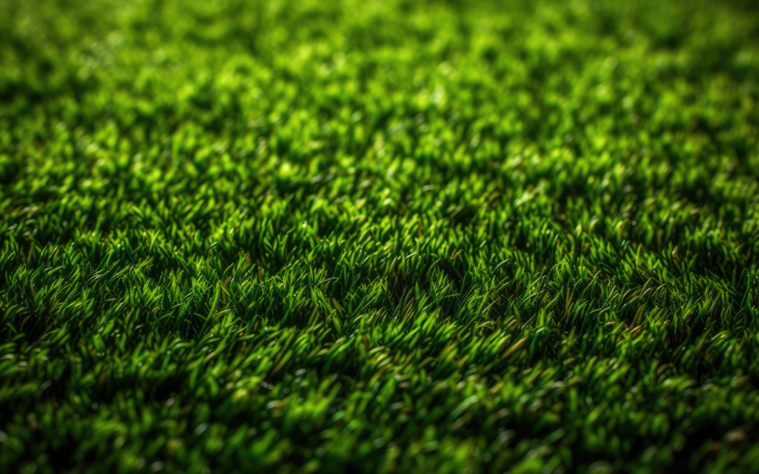 The Importance of Maintaining Synthetic Grass