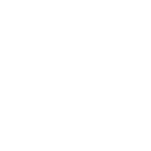 Whale icon