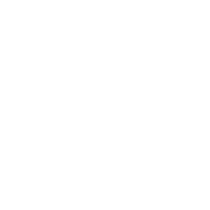 Brain icon