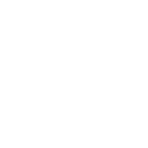 Fork